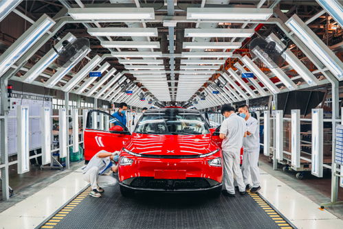 航拍大灣區(qū) 建設灣區(qū)現代新都市,肇慶活力迸發(fā)